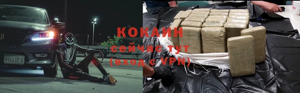 эйфоретик Дмитриев