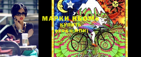 ПСИЛОЦИБИНОВЫЕ ГРИБЫ Гусь-Хрустальный