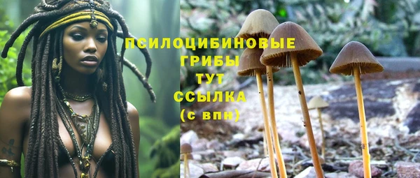 меф Дмитровск