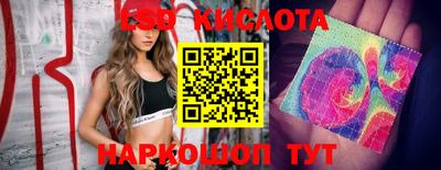 ПСИЛОЦИБИНОВЫЕ ГРИБЫ Краснознаменск