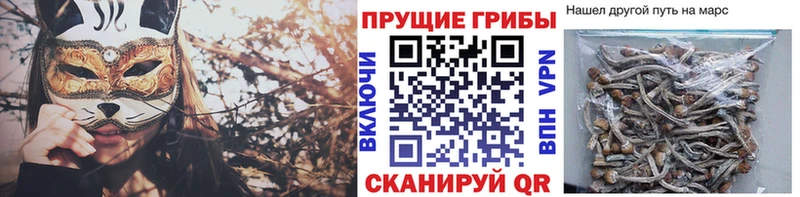 hydra tor  Заволжье  Псилоцибиновые грибы мухоморы 