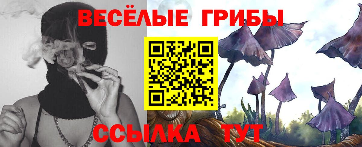 где продают   Псилоцибиновые грибы Cubensis  Вход с VPN  Псилоцибиновые грибы MAGIC MUSHROOMS  Заволжье 